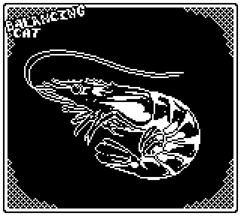 Shrimp.png